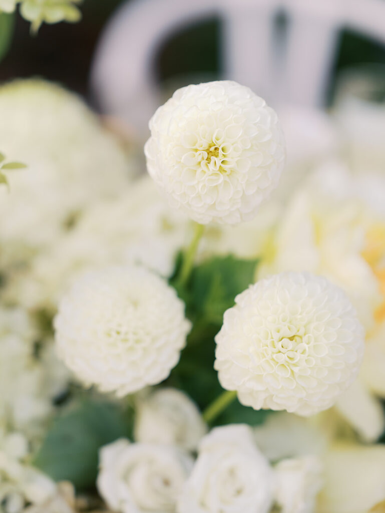 Wedding tablescape with pastel yellow linens and roses at Villa Antonia, photographed by Kelsey Applebaum