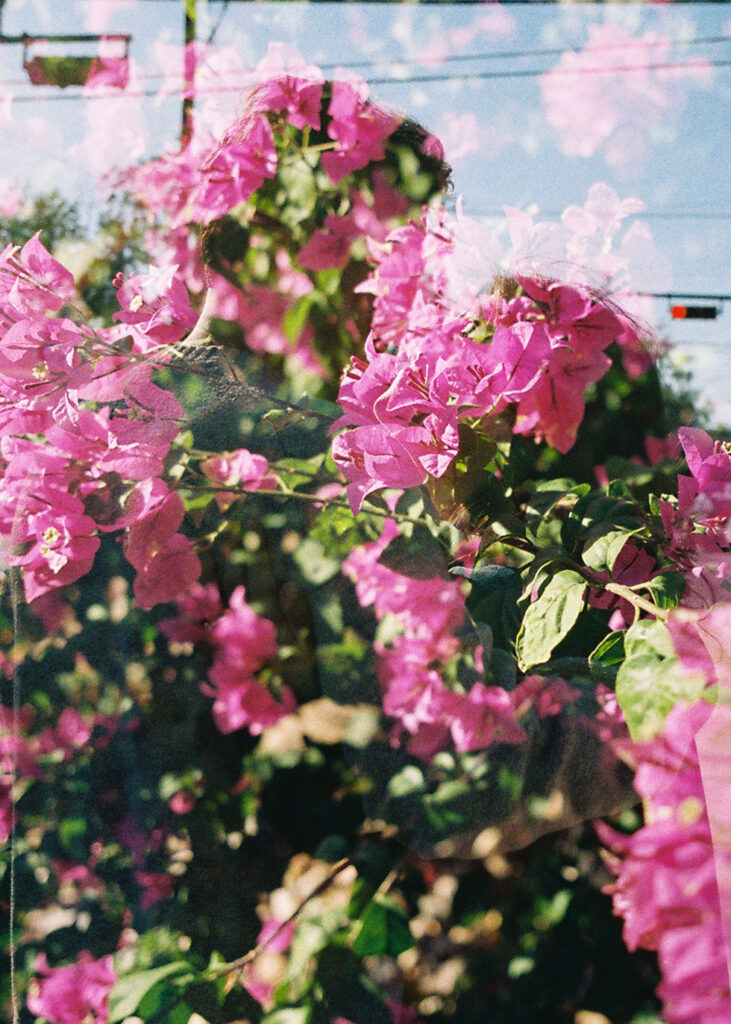 Austin Engagement Photo session on South First Street