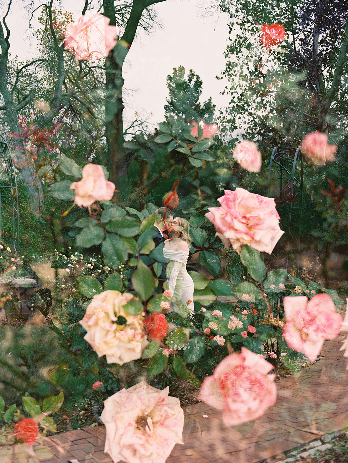Winter engagement photos at the Dallas Arboretum in Dallas, Texas