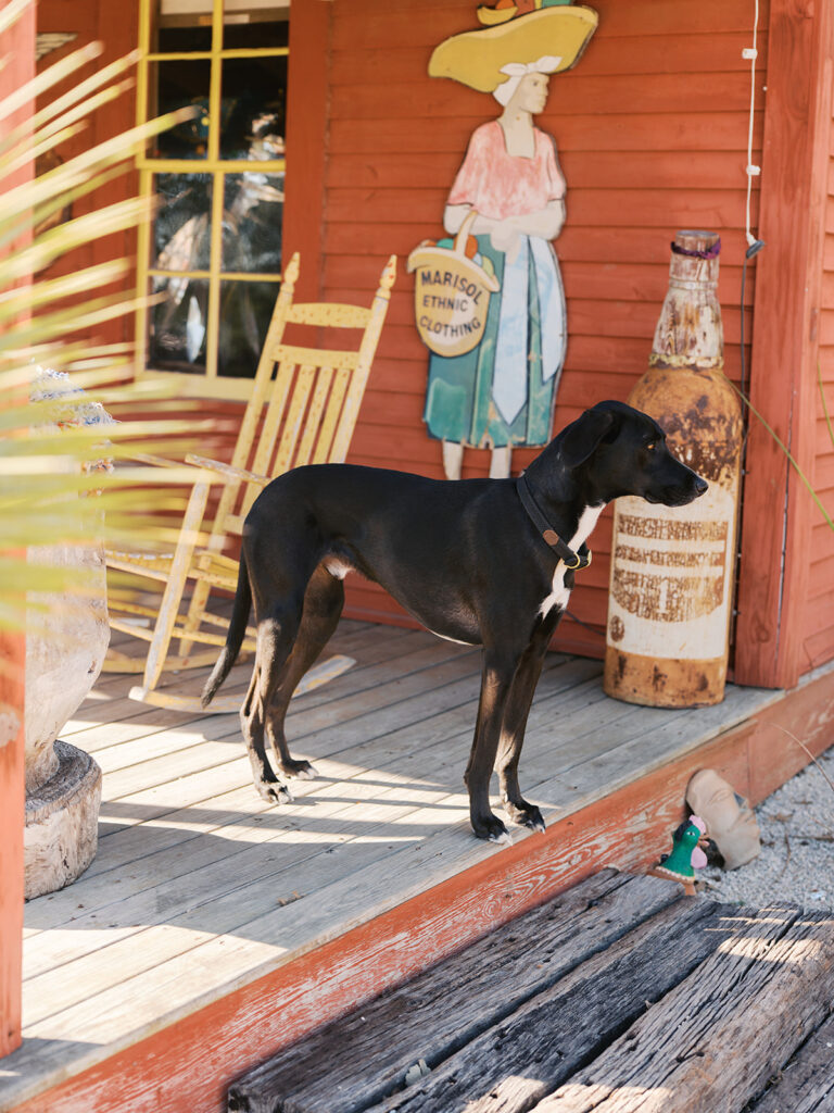 Colorful outdoor wedding ceremony at Rancho Pillow Round Top Texas