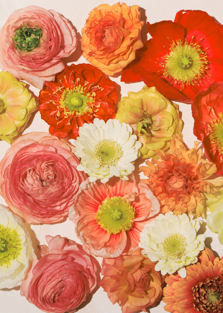 Outdoor wedding ceremony at The Grand Lady wedding venue in Austin TX