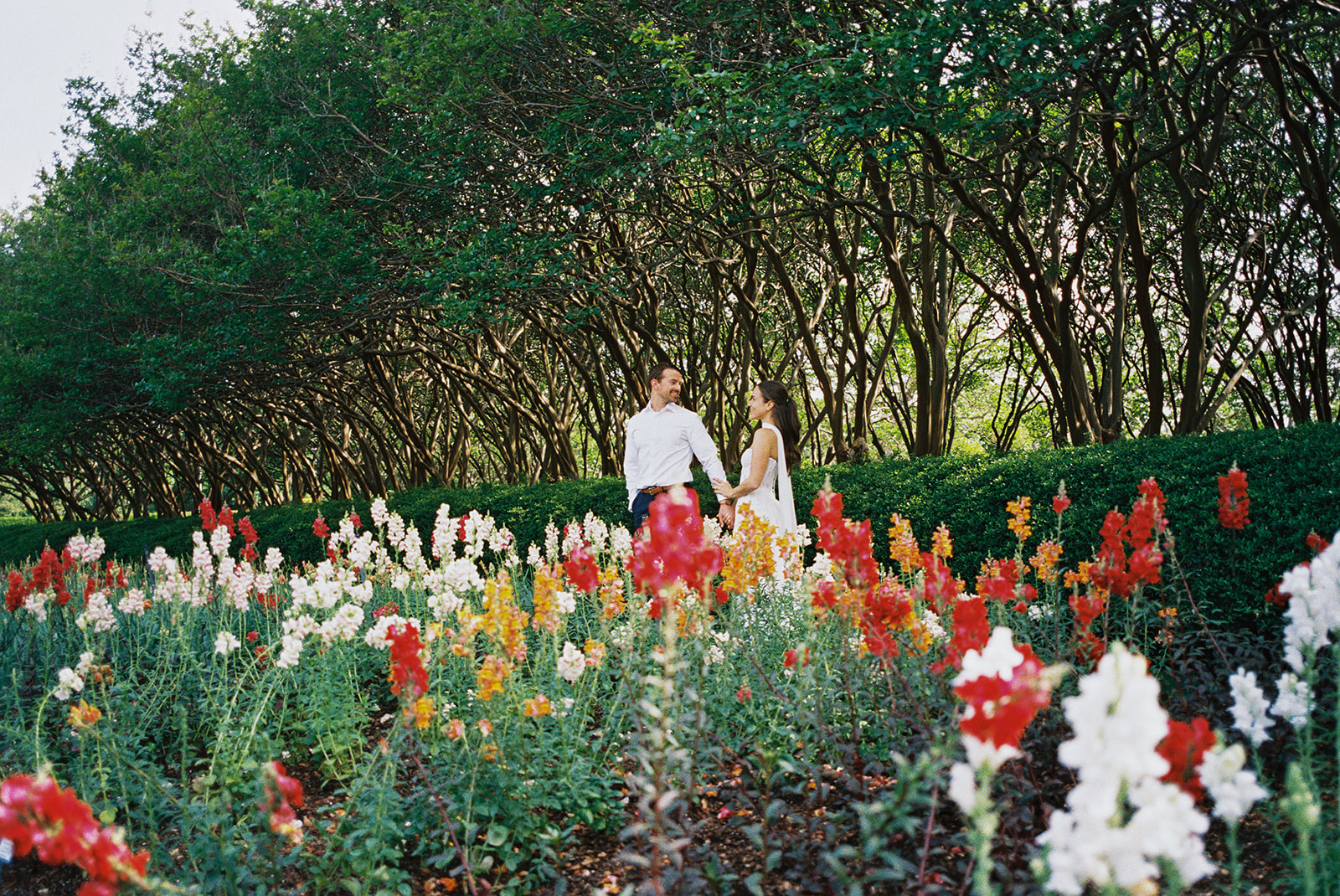 Colorful Dallas Arboretum engagement photos with blooming gardens and sunshine