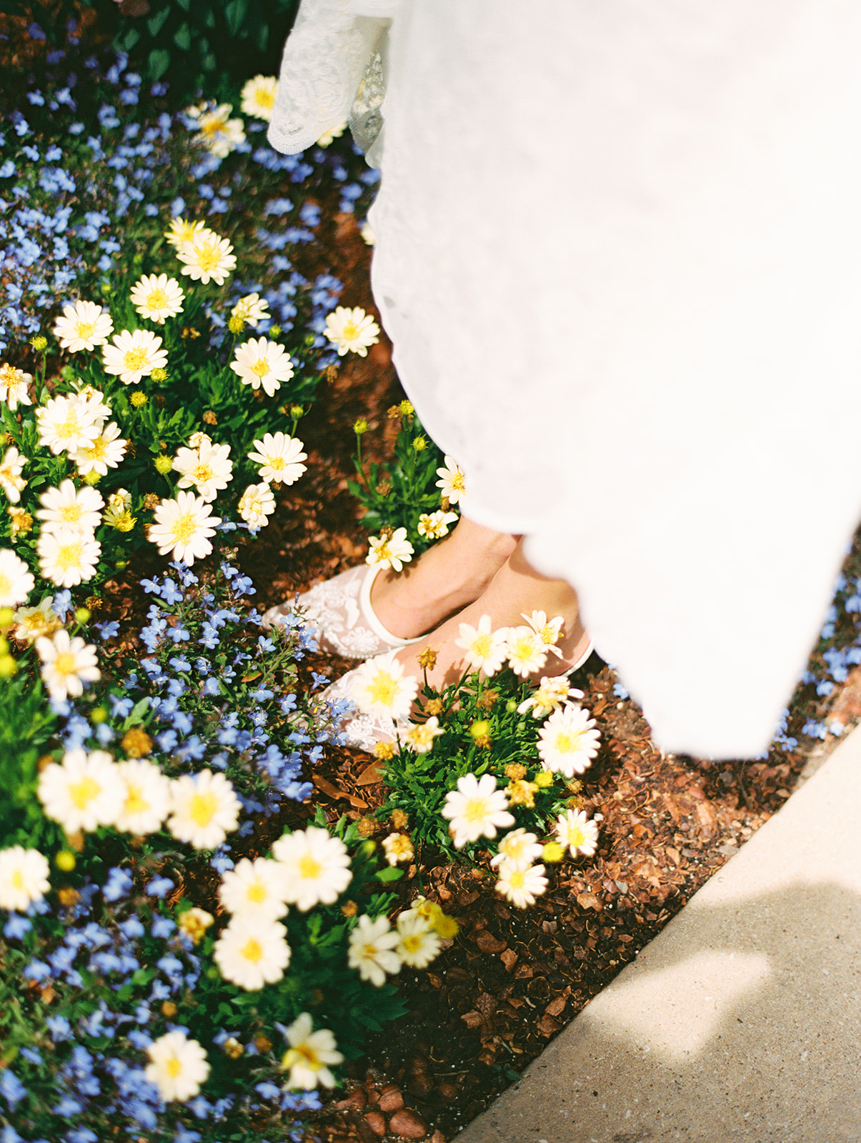 Colorful Dallas Arboretum engagement photos with blooming gardens and sunshine
