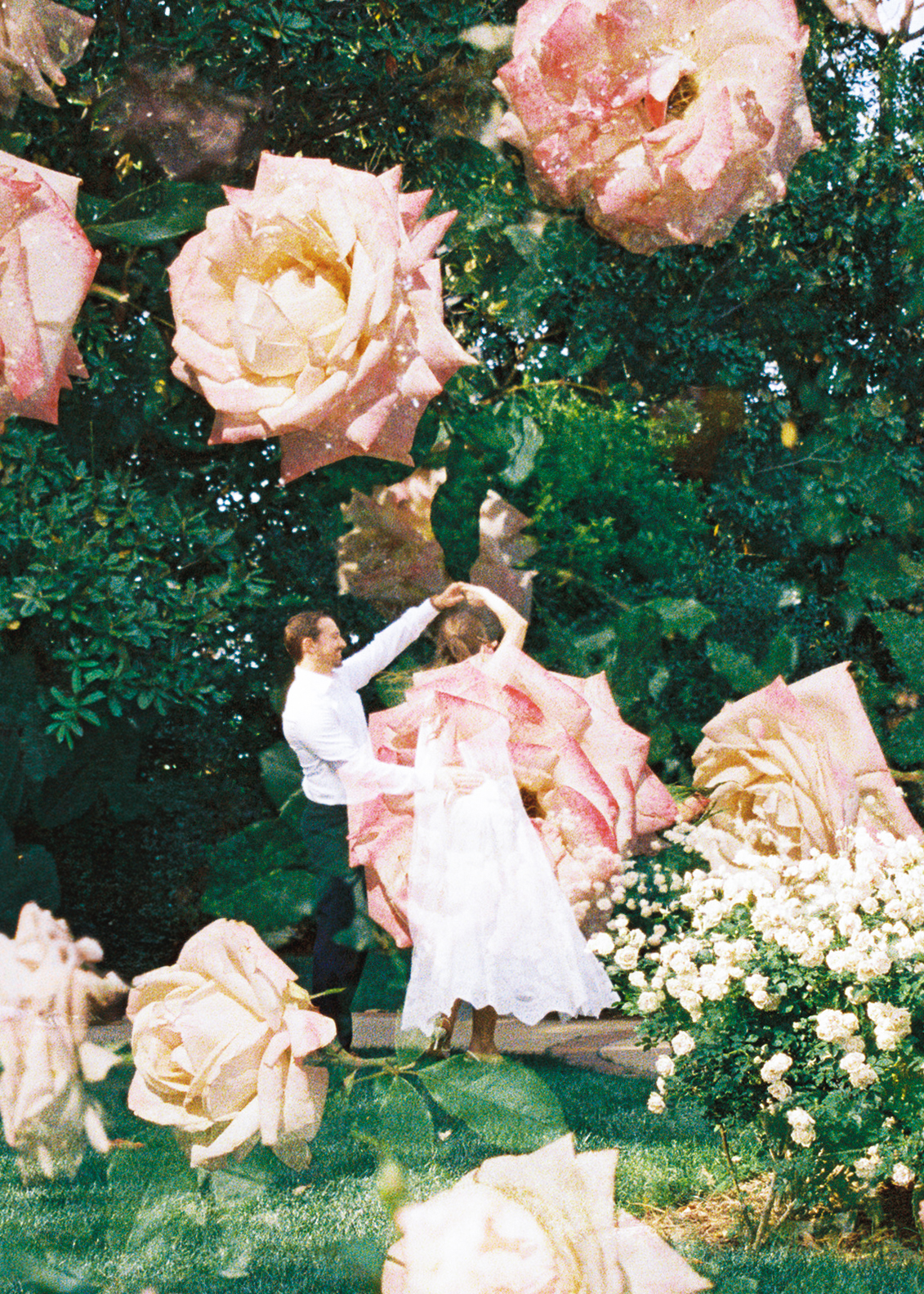 Film engagement portraits at the Dallas Arboretum surrounded by vibrant spring florals