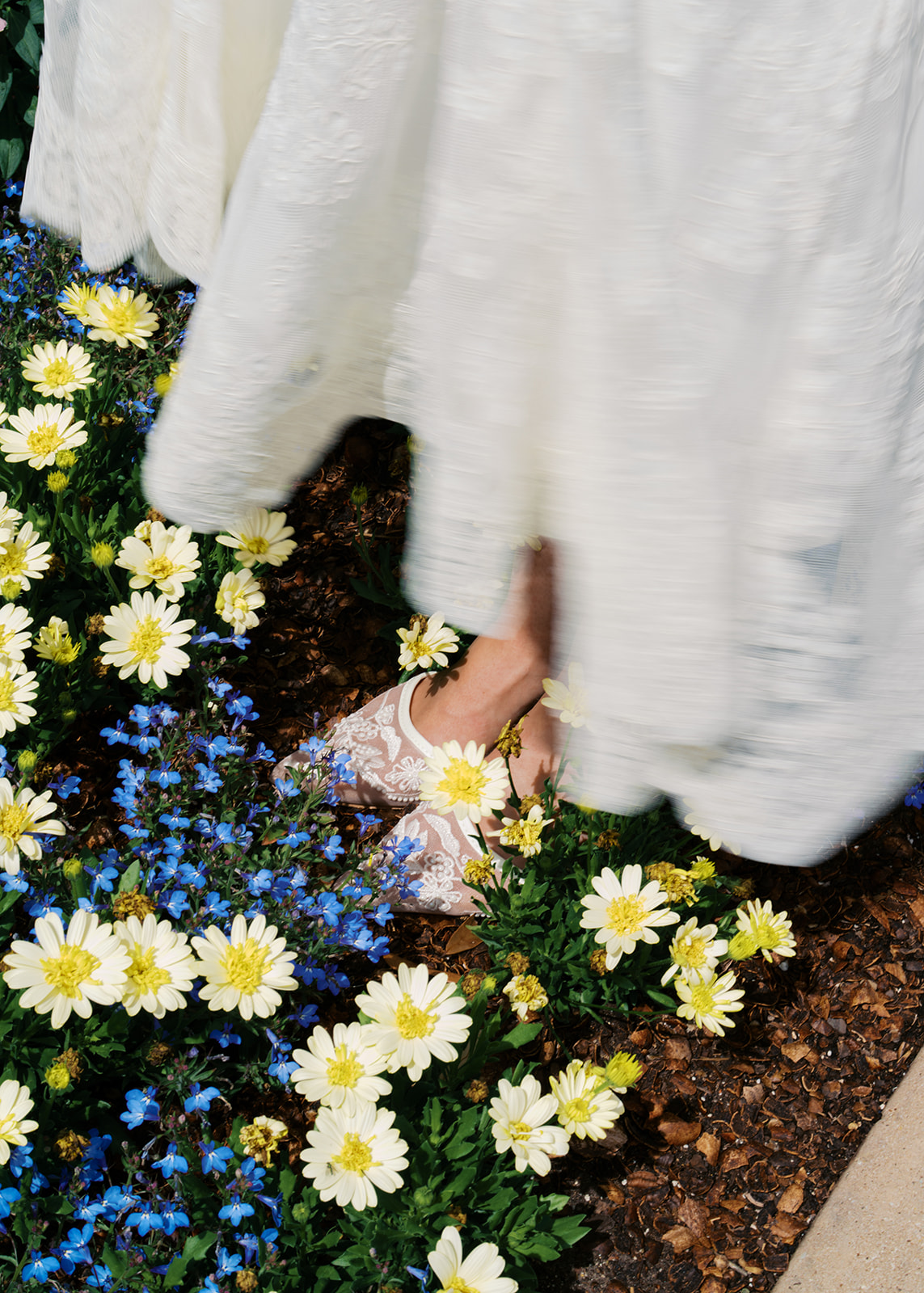 Film engagement portraits at the Dallas Arboretum surrounded by vibrant spring florals