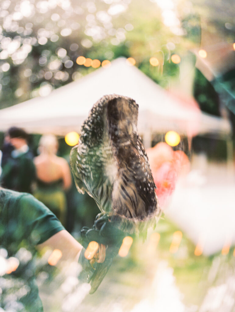 Joyful Fort Worth Zoo wedding with colorful flowers and glowing light