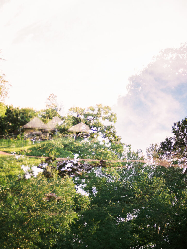 Joyful Fort Worth Zoo wedding with colorful flowers and glowing light